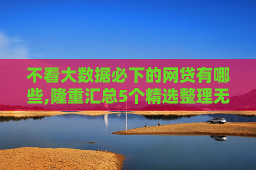 不看大数据必下的网贷有哪些,隆重汇总5个精选整理无视黑白好下款的软件