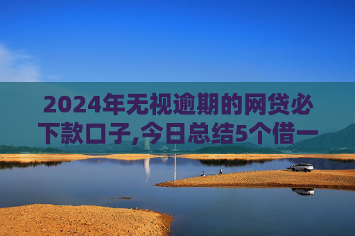 2024年无视逾期的网贷必下款口子,今日总结5个借一千的小额贷款平台有哪些  第1张