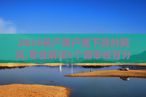 2024花户黑户能下款的网贷,专业解读5个需审核百分百下款的贷款
