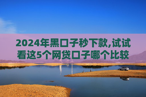 2024年黑口子秒下款,试试看这5个网贷口子哪个比较好下款