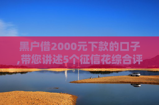 黑户借2000元下款的口子,带您讲述5个征信花综合评分不足能下款的口子