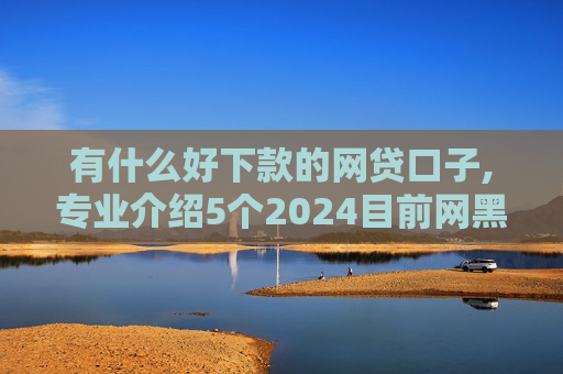 有什么好下款的网贷口子,专业介绍5个2024目前网黑能下款的口子