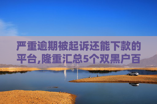严重逾期被起诉还能下款的平台,隆重汇总5个双黑户百分百下款的口子有哪些