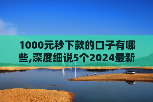 1000元秒下款的口子有哪些,深度细说5个2024最新黑户下款口子