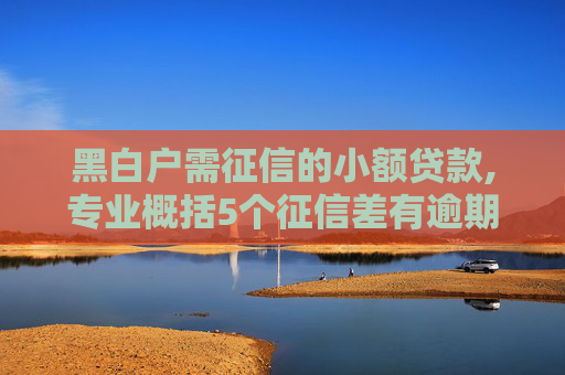 黑白户需征信的小额贷款,专业概括5个征信差有逾期还能借款的平台