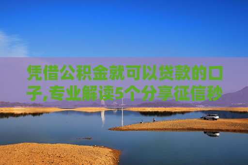 凭借公积金就可以贷款的口子,专业解读5个分享征信秒下款的口子