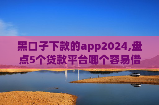 黑口子下款的app2024,盘点5个贷款平台哪个容易借又安全