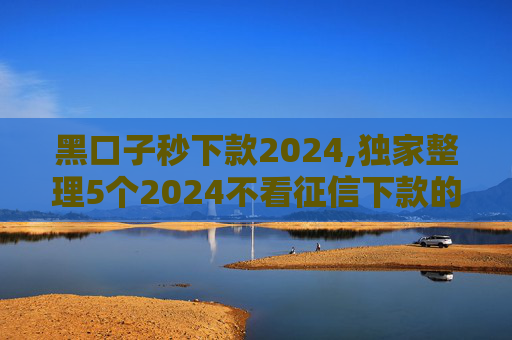 黑口子秒下款2024,独家整理5个2024不看征信下款的网贷