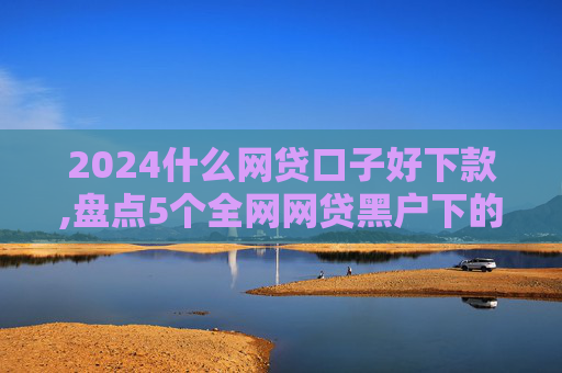 2024什么网贷口子好下款,盘点5个全网网贷黑户下的口子