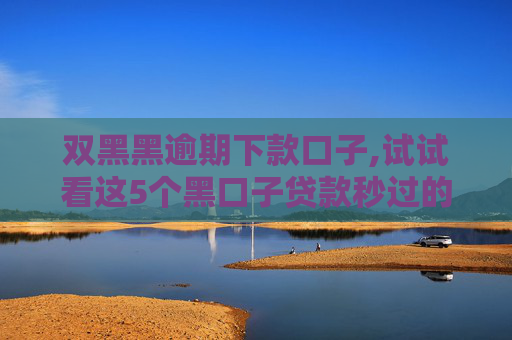 双黑黑逾期下款口子,试试看这5个黑口子贷款秒过的口子2024