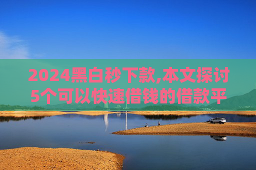 2024黑白秒下款,本文探讨5个可以快速借钱的借款平台  第1张