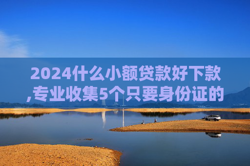 2024什么小额贷款好下款,专业收集5个只要身份证的小额贷款  第1张