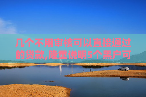 几个不用审核可以直接通过的贷款,隆重说明5个黑户可以办什么贷款
