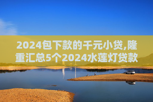 2024包下款的千元小贷,隆重汇总5个2024水莲灯贷款强制下款