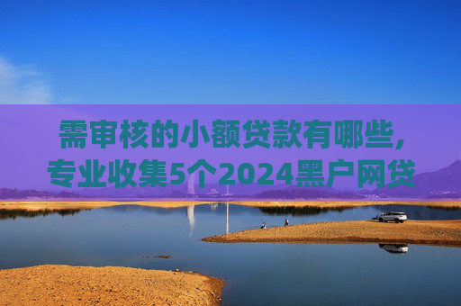 需审核的小额贷款有哪些,专业收集5个2024黑户网贷下app  第1张