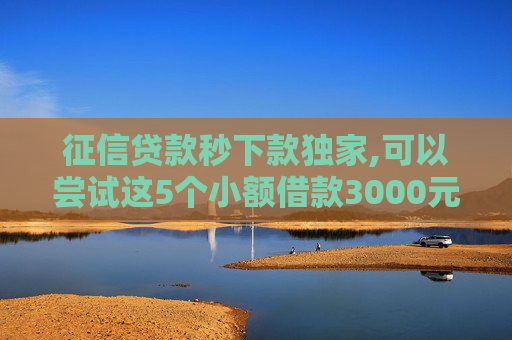 征信贷款秒下款独家,可以尝试这5个小额借款3000元马上放款