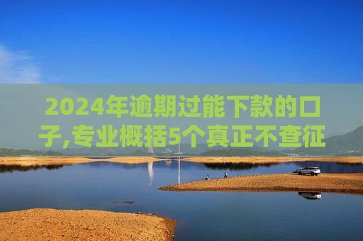 2024年逾期过能下款的口子,专业概括5个真正不查征信的贷款平台有哪些