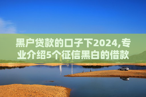 黑户贷款的口子下2024,专业介绍5个征信黑白的借款平台
