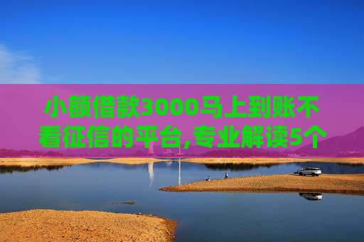 小额借款3000马上到账不看征信的平台,专业解读5个2024年不用征信就能借钱的平台