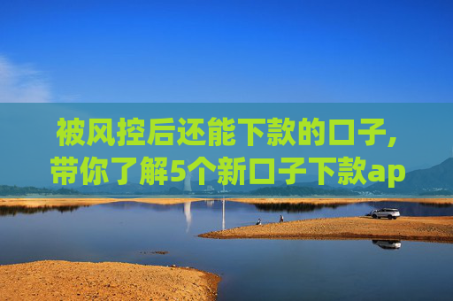被风控后还能下款的口子,带你了解5个新口子下款app