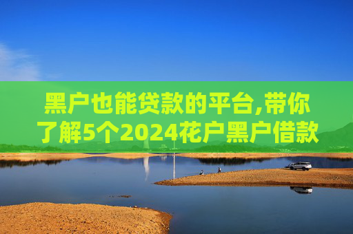 黑户也能贷款的平台,带你了解5个2024花户黑户借款下口子