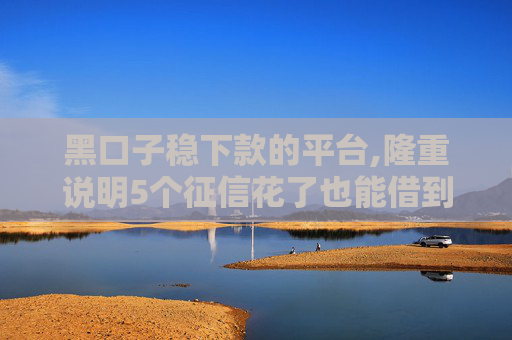 黑口子稳下款的平台,隆重说明5个征信花了也能借到钱的网贷口子