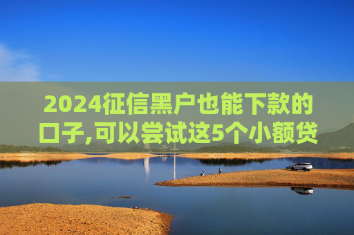 2024征信黑户也能下款的口子,可以尝试这5个小额贷款哪个最好通过