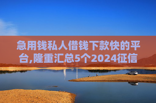 急用钱私人借钱下款快的平台,隆重汇总5个2024征信花了还能下款的网贷