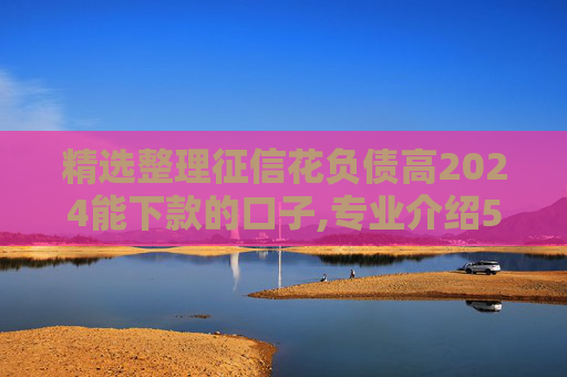 精选整理征信花负债高2024能下款的口子,专业介绍5个2024无视征信和大数据黑白的秒下小贷口子
