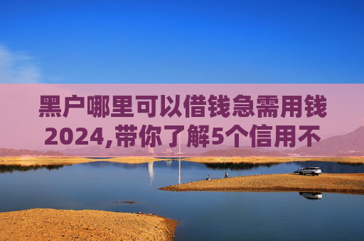 黑户哪里可以借钱急需用钱2024,带你了解5个信用不太好的可以借款的平台有哪些