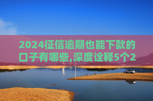 2024征信逾期也能下款的口子有哪些,深度诠释5个2024网黑还能借的网贷有哪些