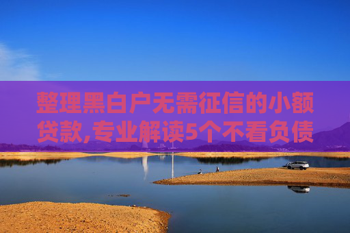 整理黑白户无需征信的小额贷款,专业解读5个不看负债和征信的贷款平台