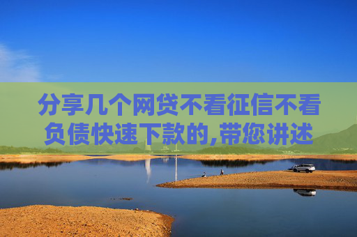 分享几个网贷不看征信不看负债快速下款的,带您讲述5个2024年网贷有哪个好过的