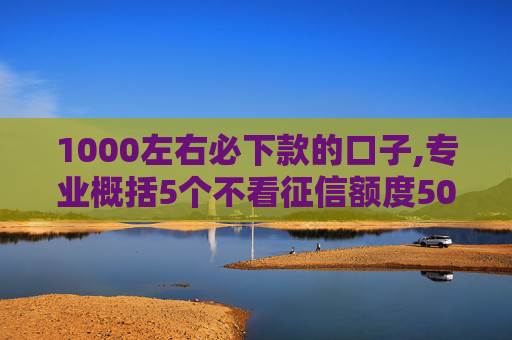 1000左右必下款的口子,专业概括5个不看征信额度5000的小额贷款