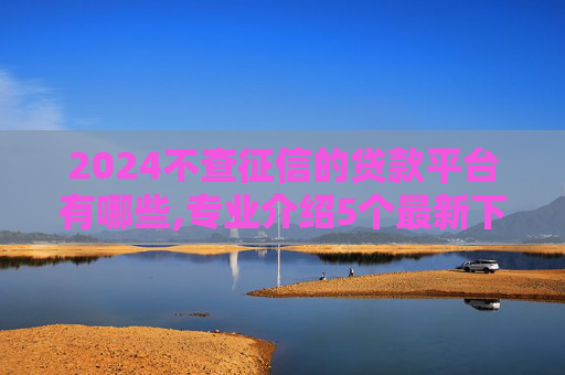 2024不查征信的贷款平台有哪些,专业介绍5个最新下款的网贷口子2024有哪些