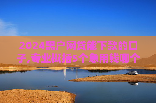 2024黑户网贷能下款的口子,专业概括5个急用钱哪个平台比较好下款