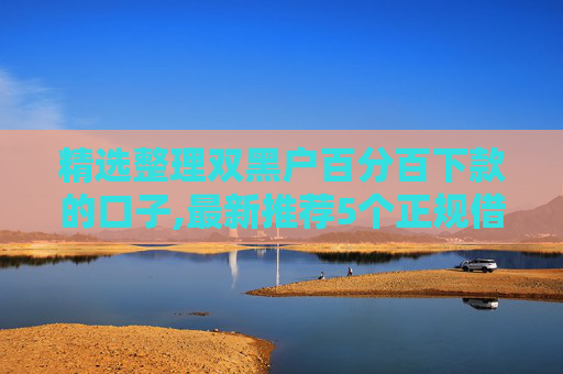 精选整理双黑户百分百下款的口子,最新推荐5个正规借贷平台哪个比较好