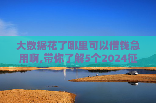 大数据花了哪里可以借钱急用啊,带你了解5个2024征信逾期也能下款的口子有哪些