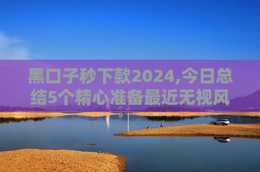 黑口子秒下款2024,今日总结5个精心准备最近无视风控能下款的口子